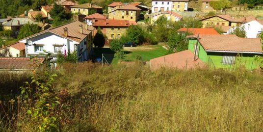 FINCA DE 1.200 M2 EN ARGOVEJO