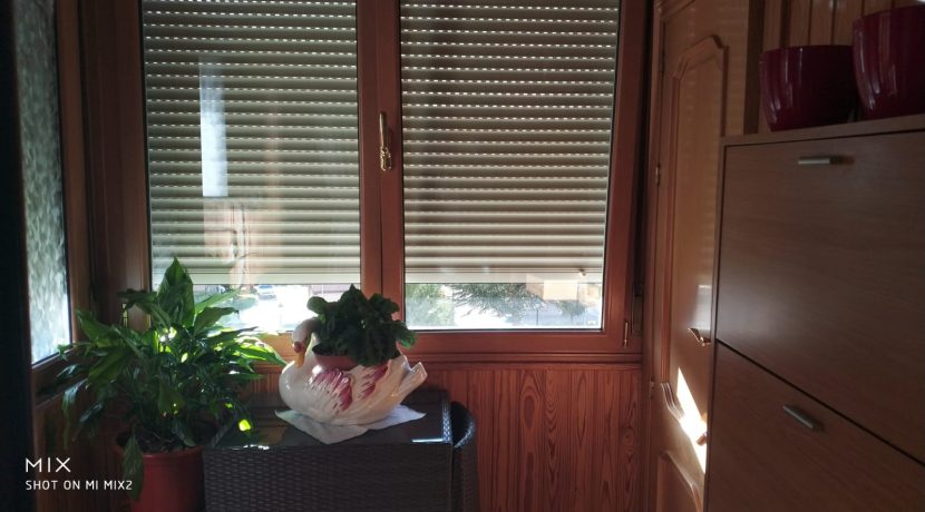 IMG-20191008-WA0007