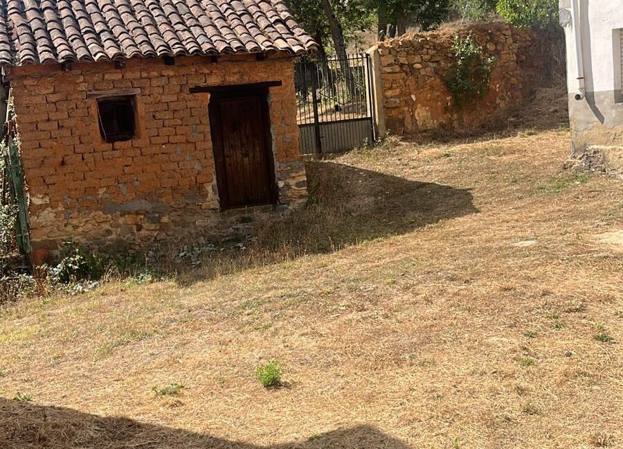 WhatsApp Image 2025-09-11 at 12.38.51 (1)