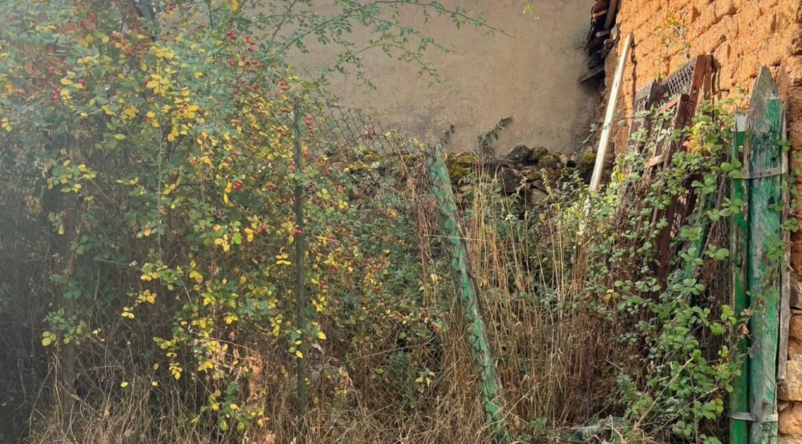 WhatsApp Image 2025-09-19 at 15.21.22 (1)