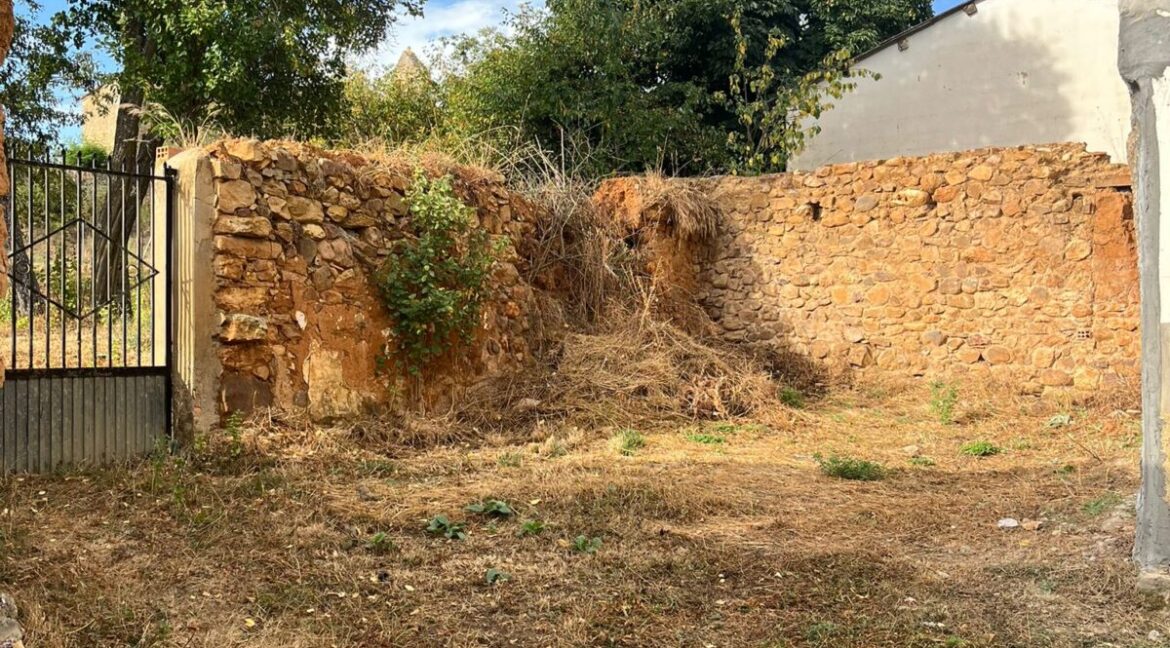 WhatsApp Image 2025-09-19 at 15.21.22