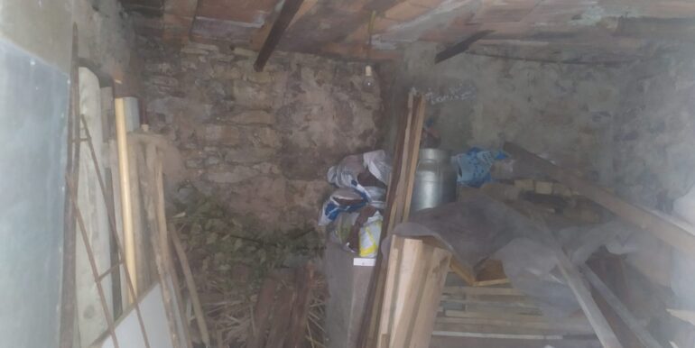 WhatsApp Image 2021-07-29 at 14.53.34(3)