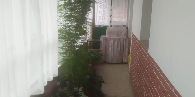 WhatsApp Image 2021-07-29 at 14.54.28(1)