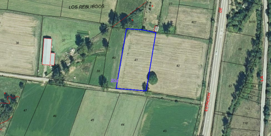 FINCA DE REGADIO EN LA VEGA DE SORRIBA DEL ESLA DE 4.500 M2