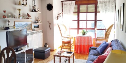 Apartamento en el centro de Riaño