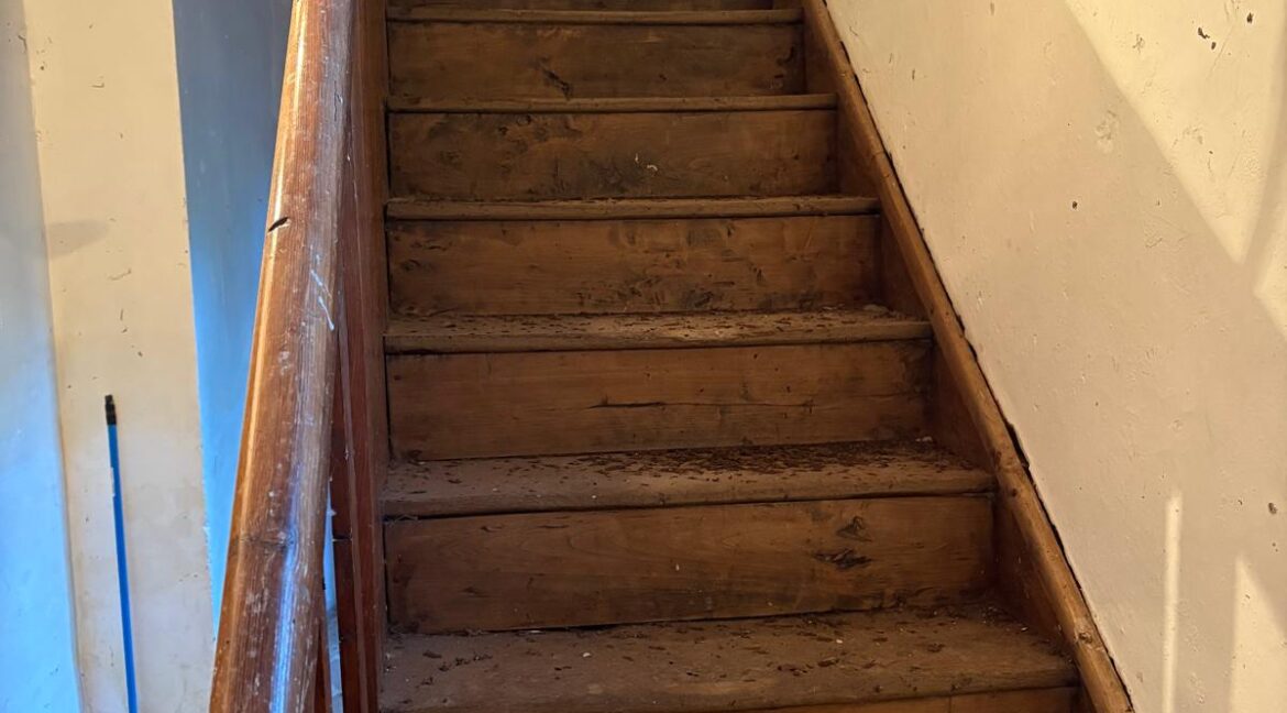 WhatsApp Image 2025-09-25 at 14.02.51 (12)