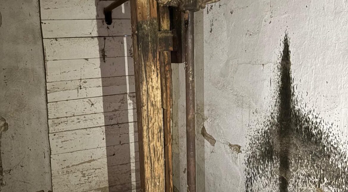 WhatsApp Image 2025-09-25 at 14.02.51 (18)