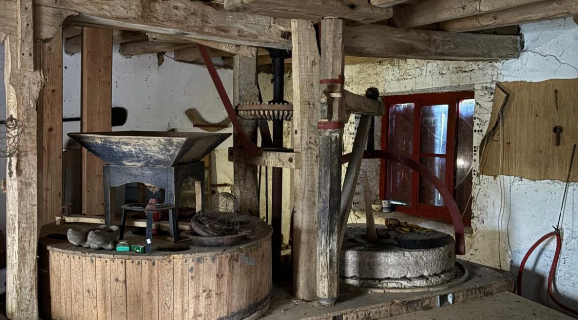 WhatsApp Image 2025-09-25 at 14.02.51 (2)