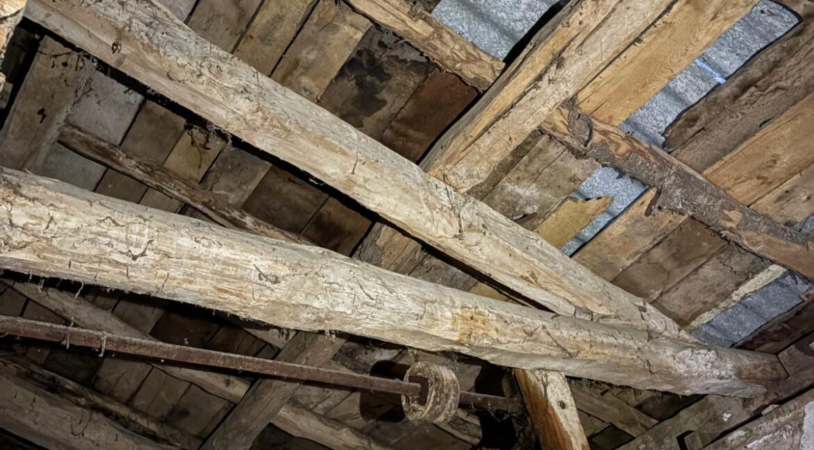 WhatsApp Image 2025-09-25 at 14.02.51 (20)