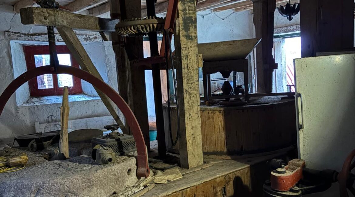 WhatsApp Image 2025-09-25 at 14.02.51 (3)