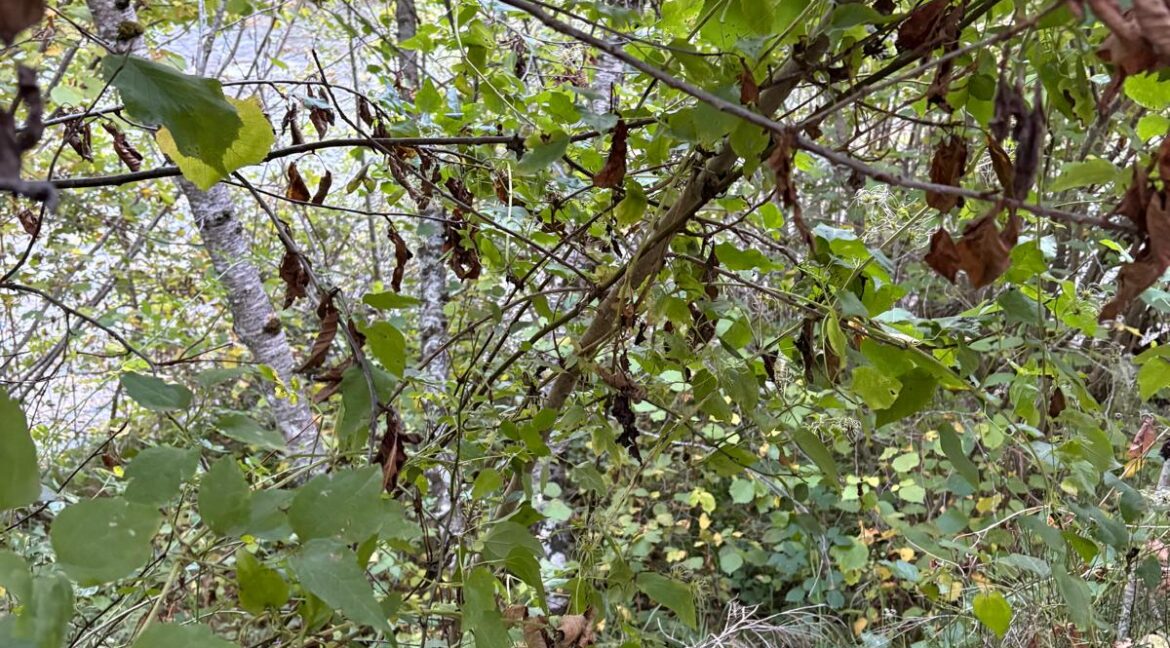 WhatsApp Image 2025-09-25 at 14.02.51 (6)