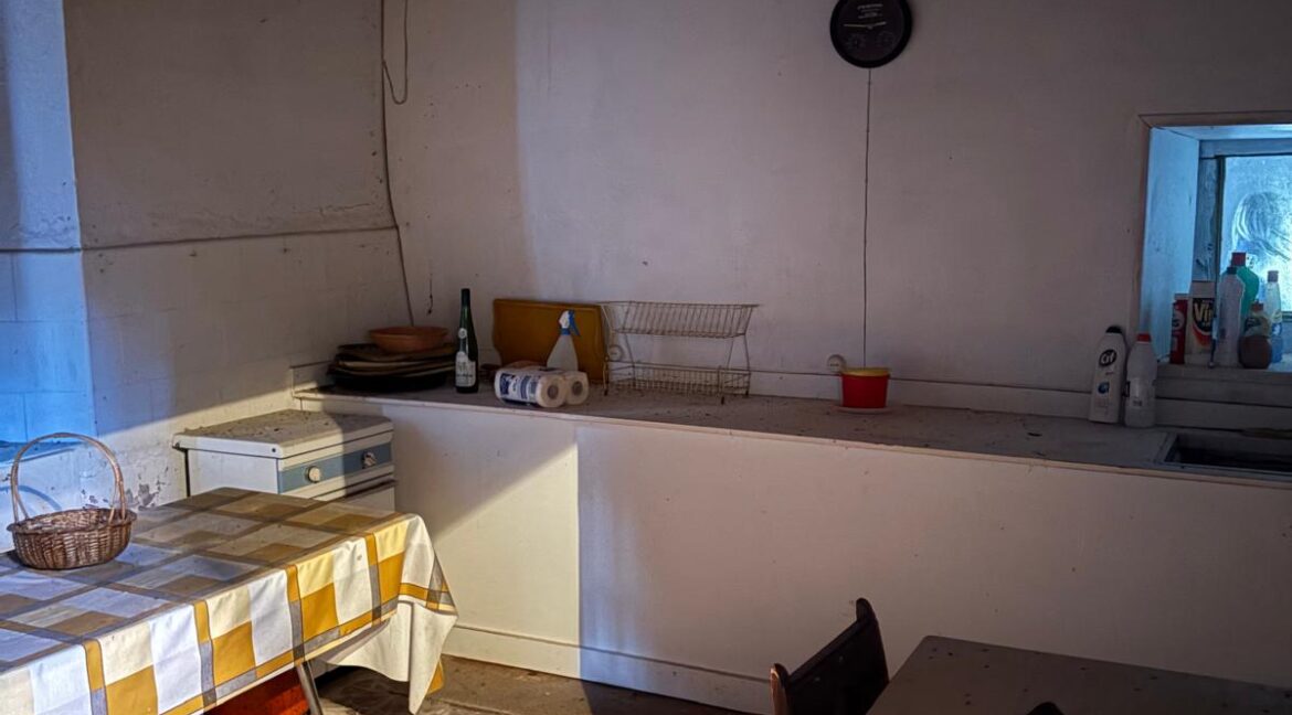 WhatsApp Image 2025-09-25 at 14.02.51 (7)