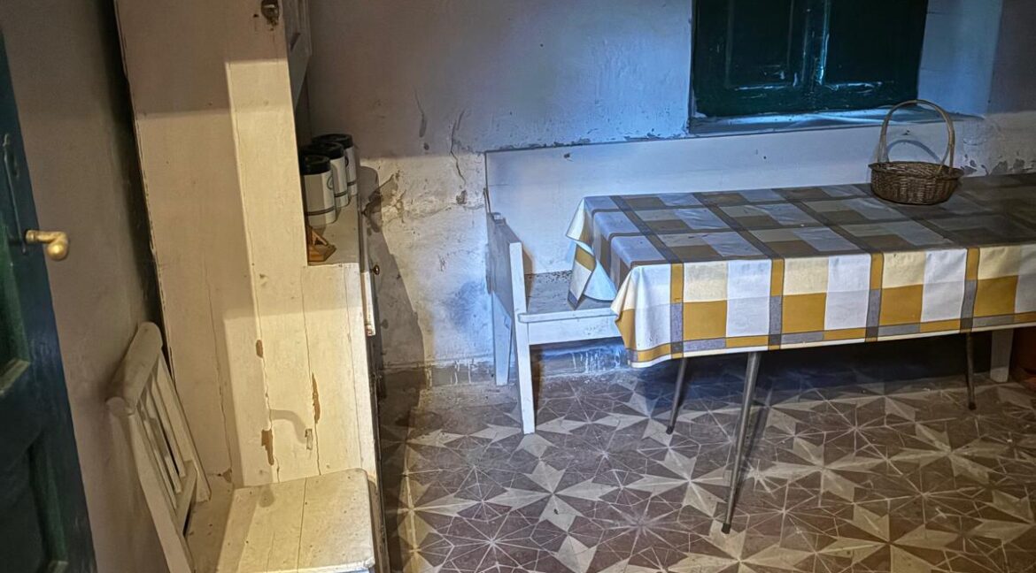 WhatsApp Image 2025-09-25 at 14.02.51 (8)