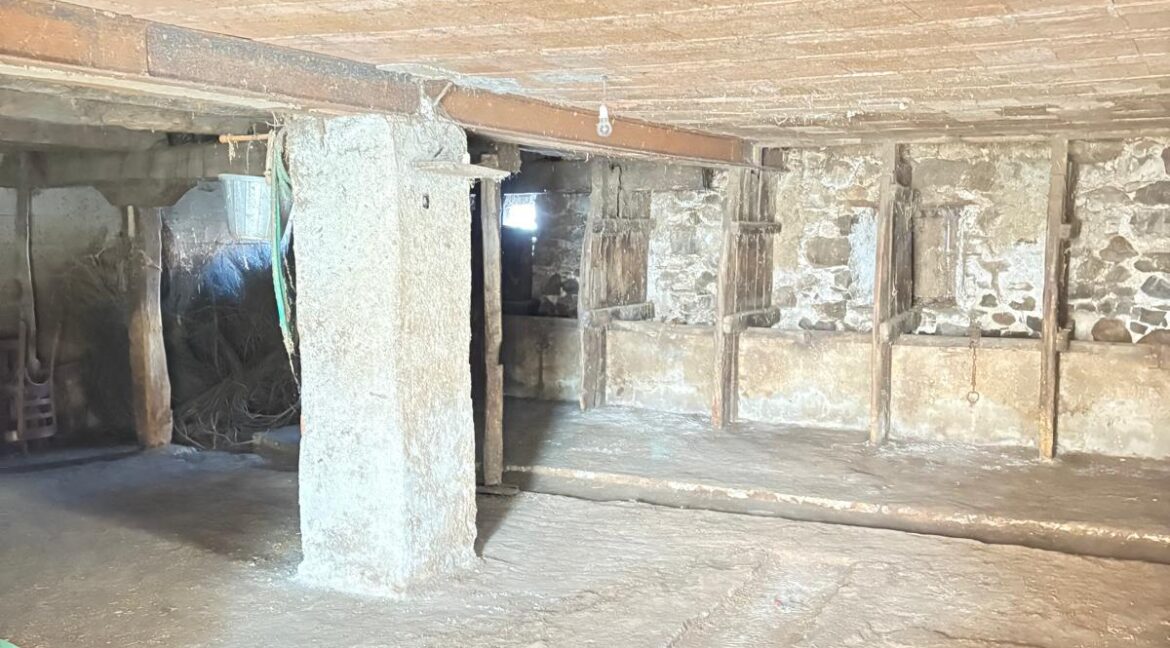 WhatsApp Image 2025-10-29 at 09.57.58 (2)