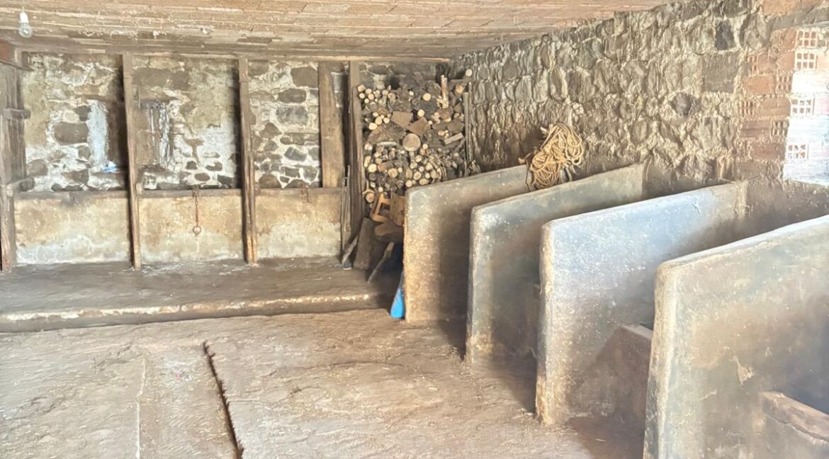 WhatsApp Image 2025-10-29 at 09.57.59