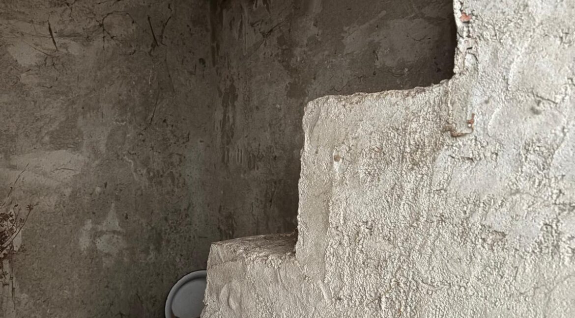 WhatsApp Image 2025-10-29 at 09.58.00 (3)