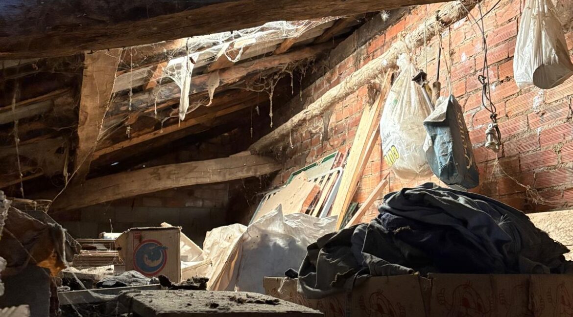 WhatsApp Image 2025-10-29 at 09.58.00 (4)