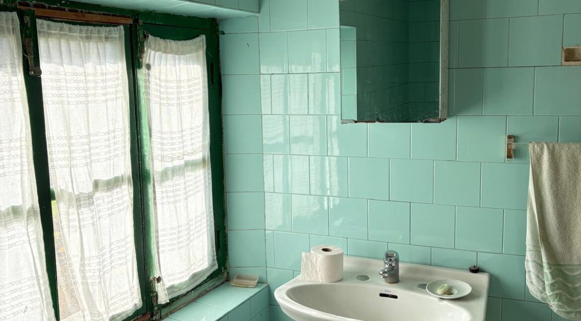 WhatsApp Image 2025-10-29 at 09.58.00 (7)