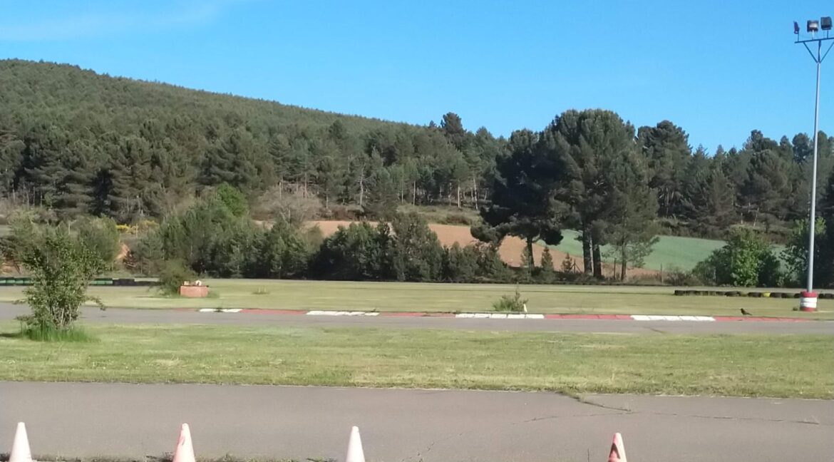 WhatsApp Image 2025-11-03 at 12.17.32 (3)