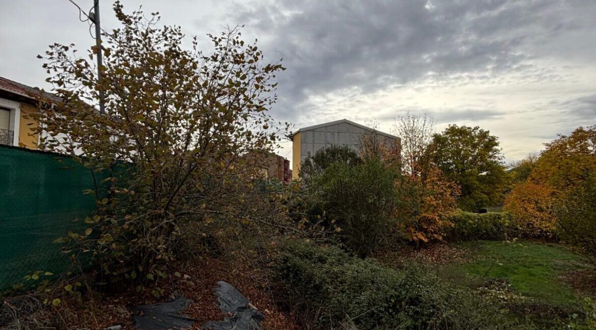 WhatsApp Image 2025-11-05 at 10.42.50 (1)