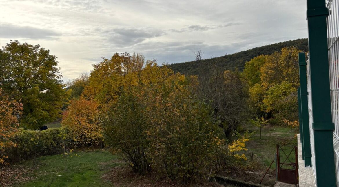 WhatsApp Image 2025-11-05 at 10.42.50