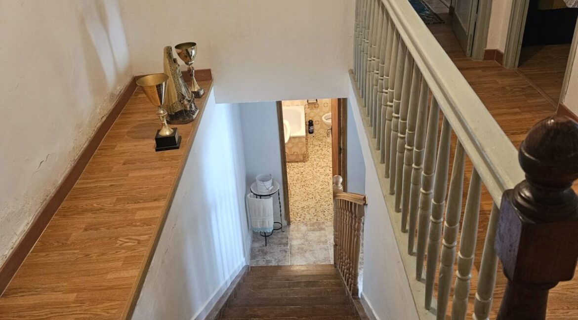 WhatsApp Image 2025-11-24 at 14.55.06 (3)