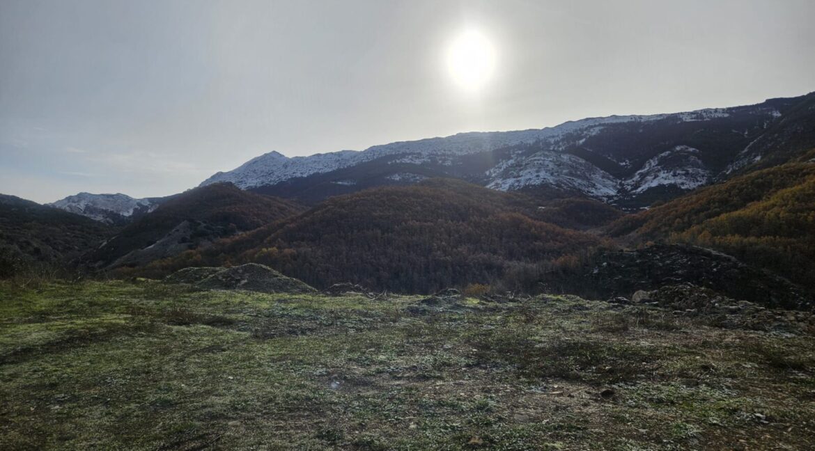 WhatsApp Image 2025-11-24 at 14.55.06