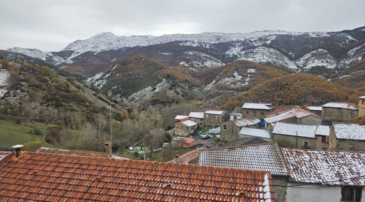 WhatsApp Image 2025-11-24 at 14.55.10