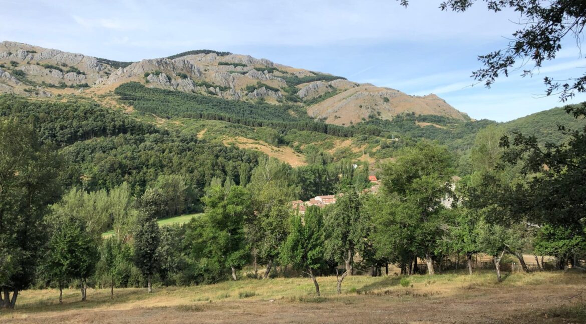 WhatsApp Image 2026-02-26 at 10.39.28