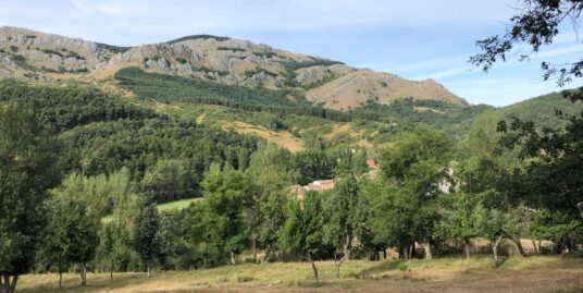 Finca Rústica en Sabero