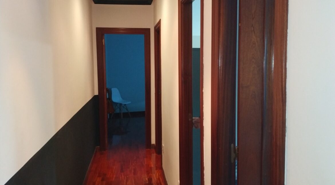 WhatsApp Image 2026-03-11 at 13.34.37 (1)