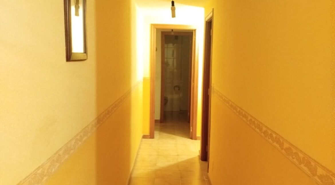 WhatsApp Image 2026-03-11 at 19.36.25 (1)