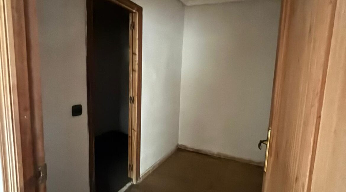 WhatsApp Image 2026-03-12 at 13.17.49