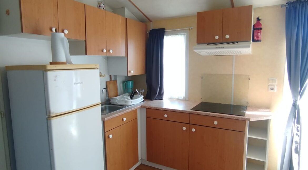 WhatsApp Image 2026-03-12 at 15.59.42