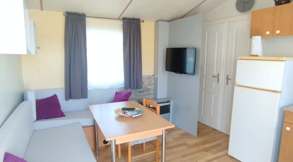 WhatsApp Image 2026-03-12 at 15.59.43