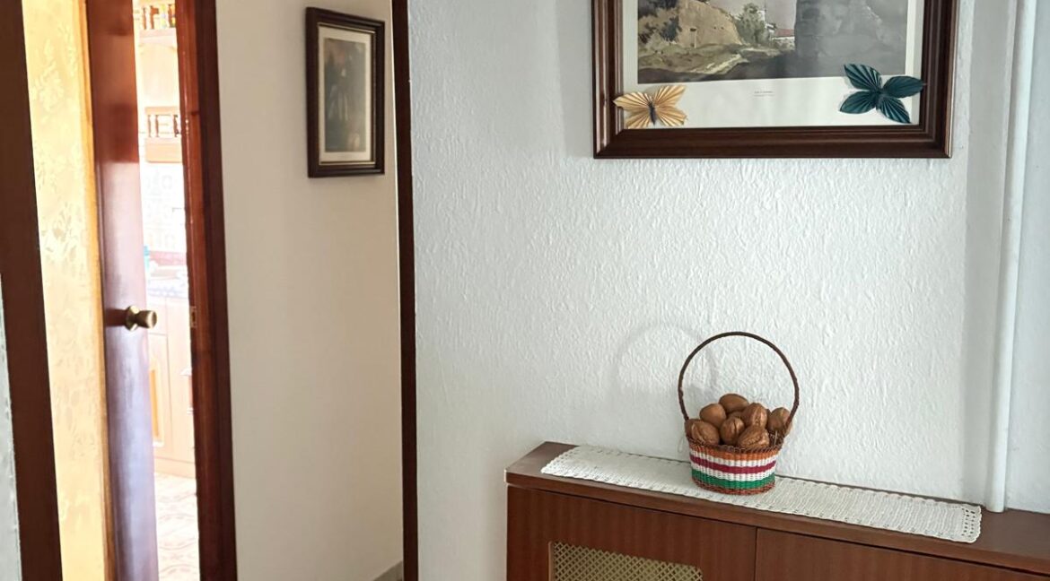 WhatsApp Image 2026-04-06 at 13.05.36 (2)